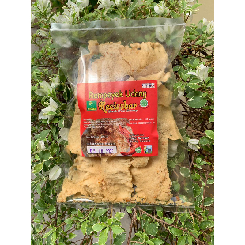 

Rempeyek Udang (Recissbar)