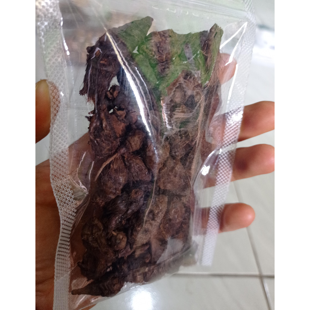 

UMBII TEKI 50 GRAM/BIANG TEKI/BONGOL RUMPUT TEKI KEMASAN STANDING POUCH