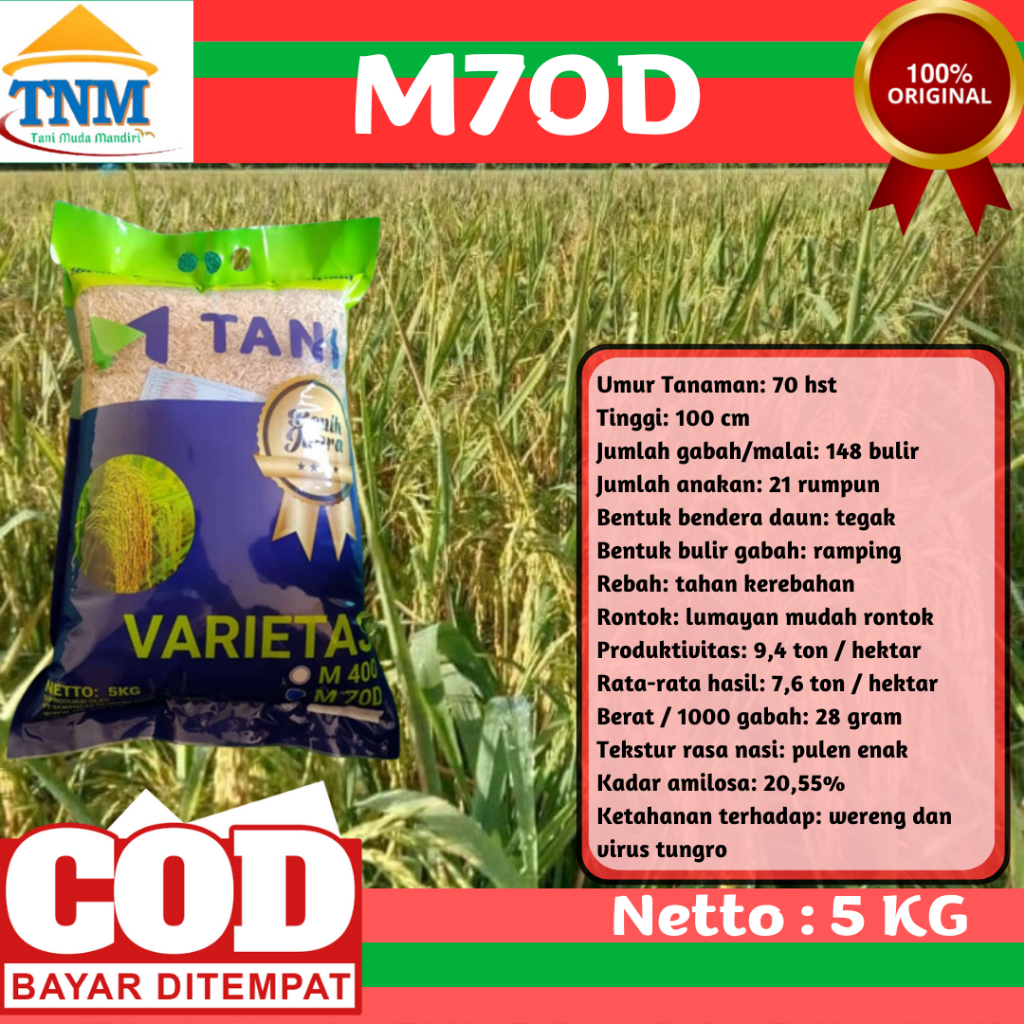 BIJI PADI UNGGUL GENJAH M70D 5KG
