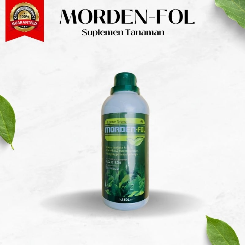 Morden Foll 500 Ml