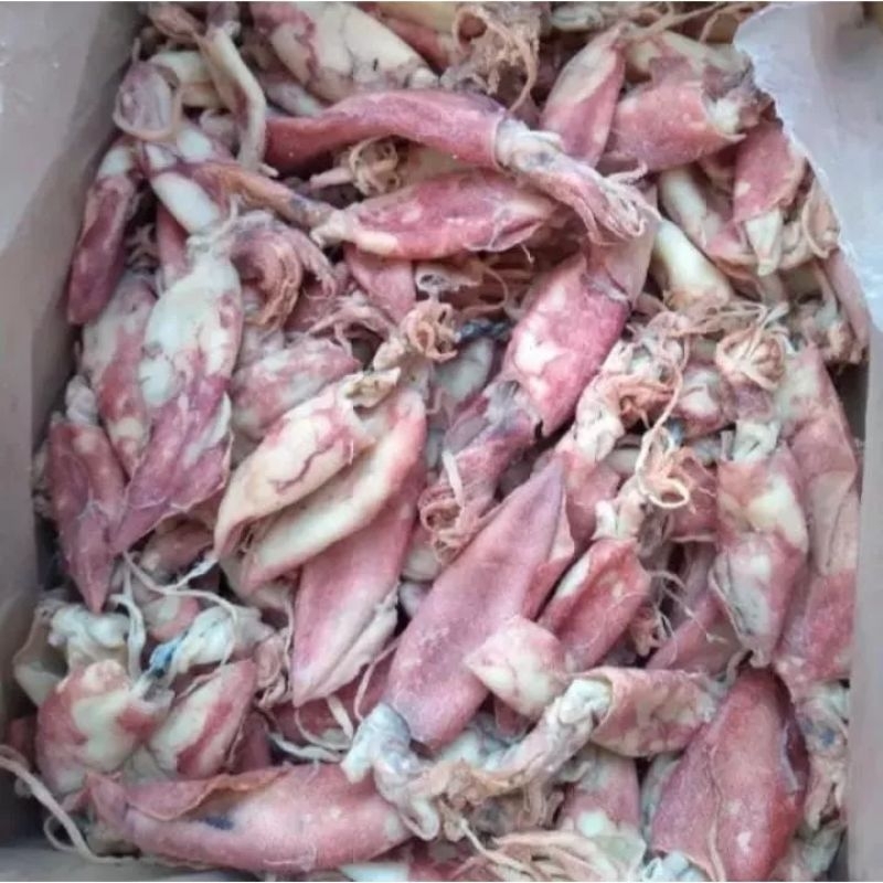 

cumi sotong kering 1kg murah ikan asin cumi kering