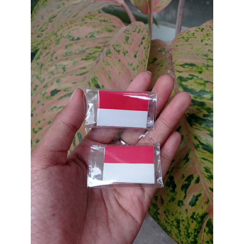 

(10pcs) Stiker Pipi Bendera Merah Putih Tempel Pipi Merah Putih Sudah Cutting