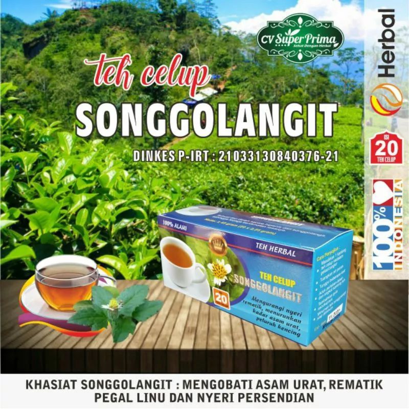 

TEH CELUP SONGGOLANGIT TEH HERBAL UNTUK ASAM URAT/PEGEL PEGEL