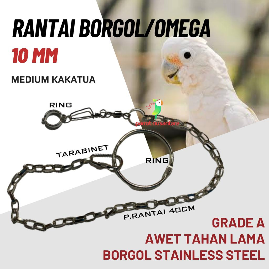 RANTAI BORGOL KAKI KAKATUA MEDIUM FULLSET GELANG RING BORGOL 10 MM