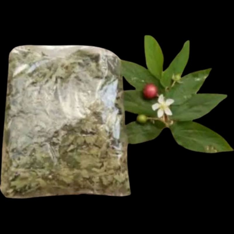 

daun kersen kering /ceri kering 50gram/ organik obat herbal