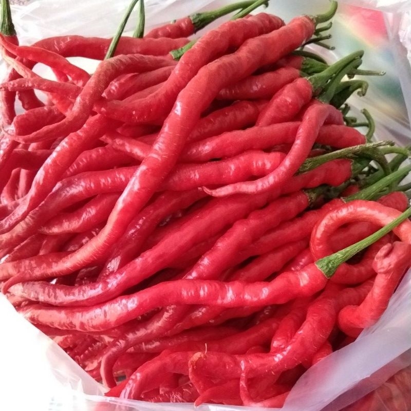 

cabe merah
