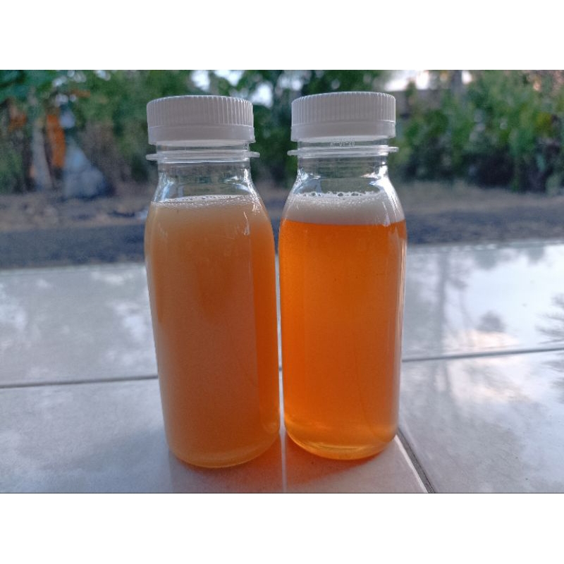 

Madu Kelulut Trigona Itama Asli 100 ml