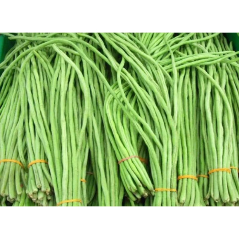 

kacang panjang per-ikat