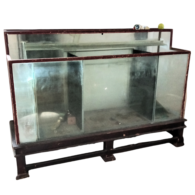 Aquarium Besar Jumbo 3 Sekat Ruang, 1 Sekat Filter, dan Talang Air Mancur