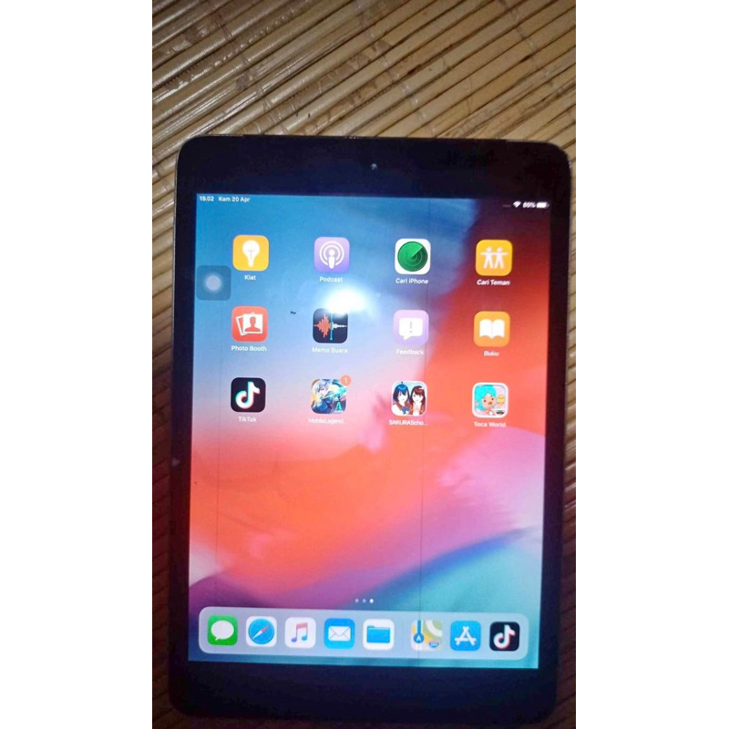 iPad mini 2 minus