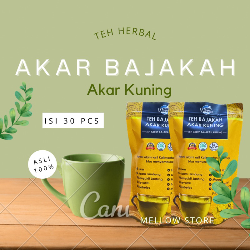 

Teh herbal akar bajakah akar kuning asli 100% isi 30pcs