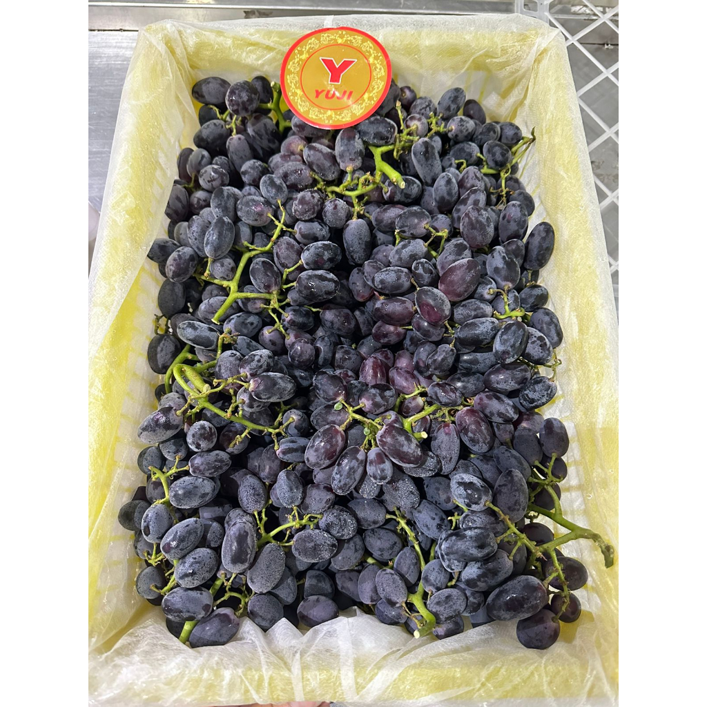 

Anggur AUTUMN ROYAL Sweet Black Grapes IMPORT 500 gr