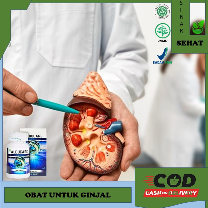 obat ginjal Obat Herbal Ginjal Bengkak Obat Ginjal Kronis, Obat Gagal Ginjal, Obat Herbal Ginjal Kot