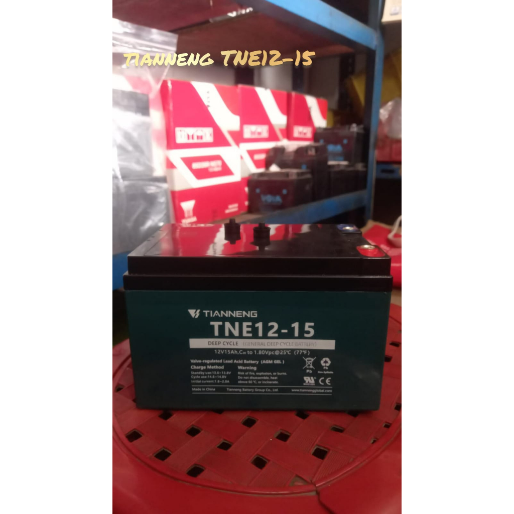 Battery sepeda listrik selis butterfly  original Tianneng TNE12-15 6DZM12