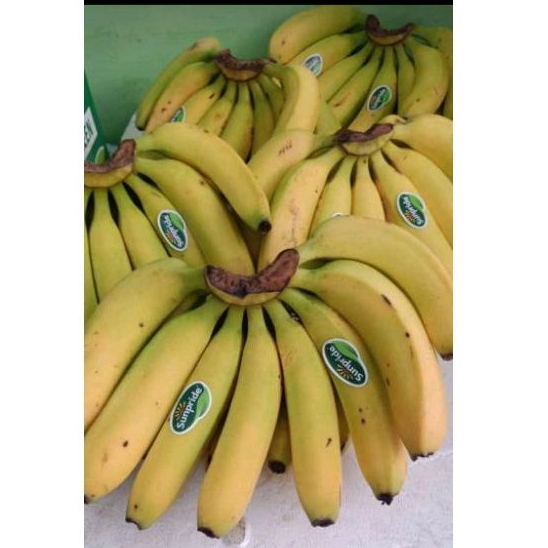 

READY PISANG CAVENDISH MALANG MURAH GRATIS ONGKIR