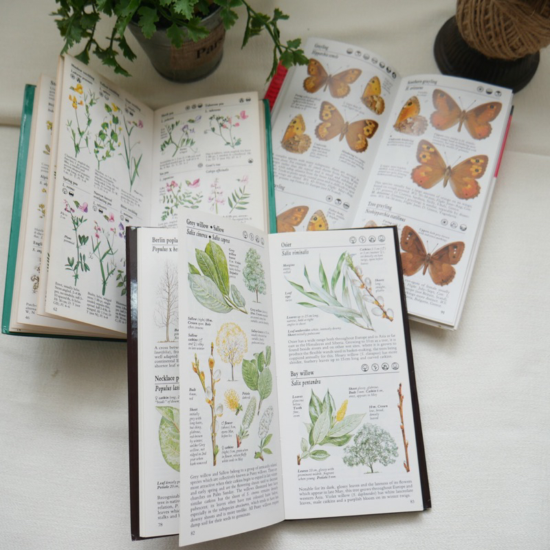 Buku Vintage Pocket Guide by Mitchell Beazley Wild Flowers Trees Butterflies