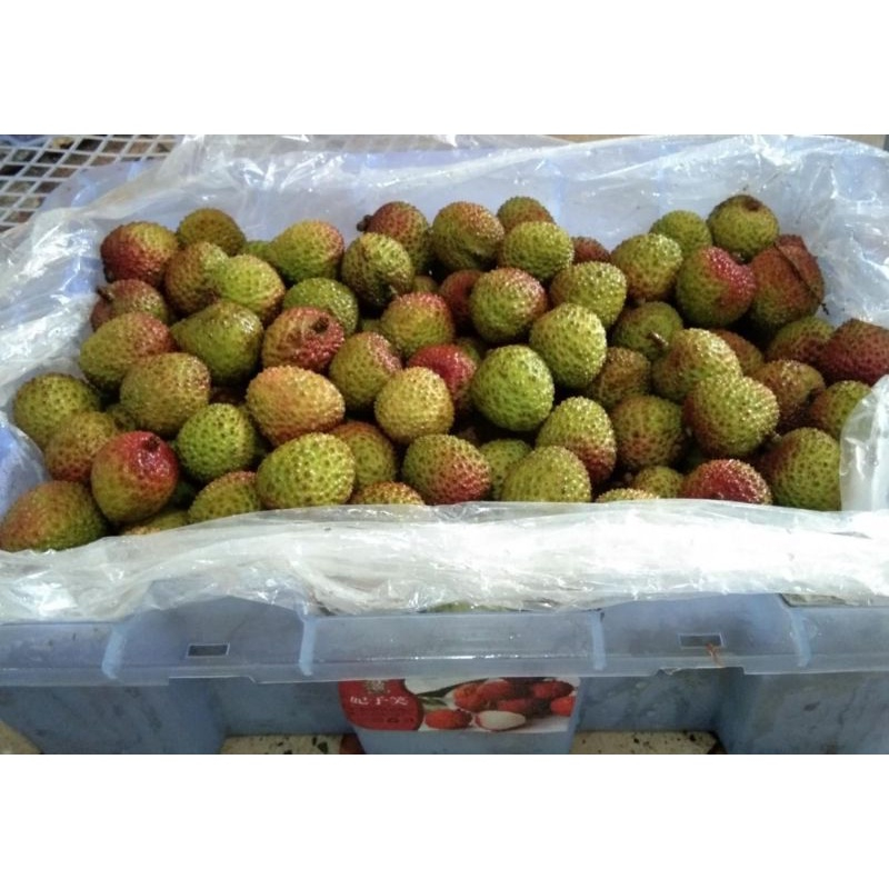 

QUEEN BUAH - BUAH LYCHEE MADU / LECI MADU MANIS 500GR