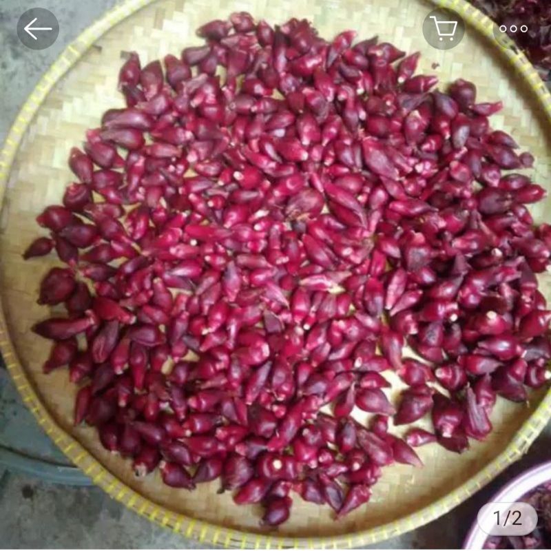 

bawang dayak keringg