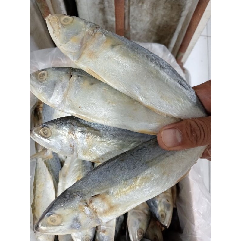 

IKAN ASIN PEDA (COD)
