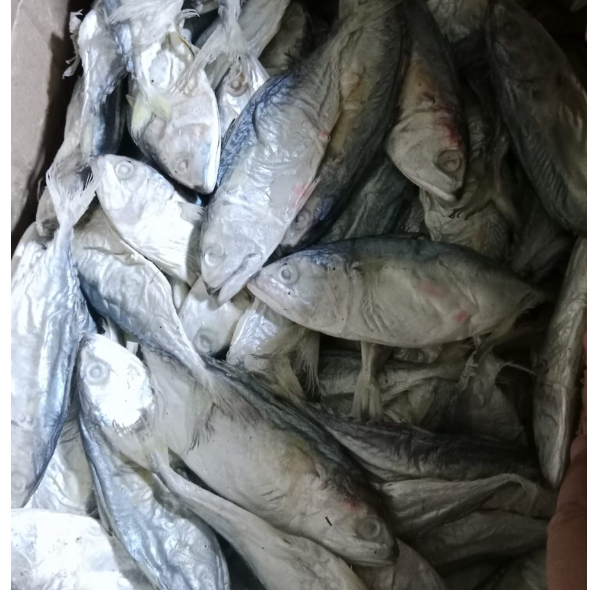 

Ikan Asin Peda 100gr