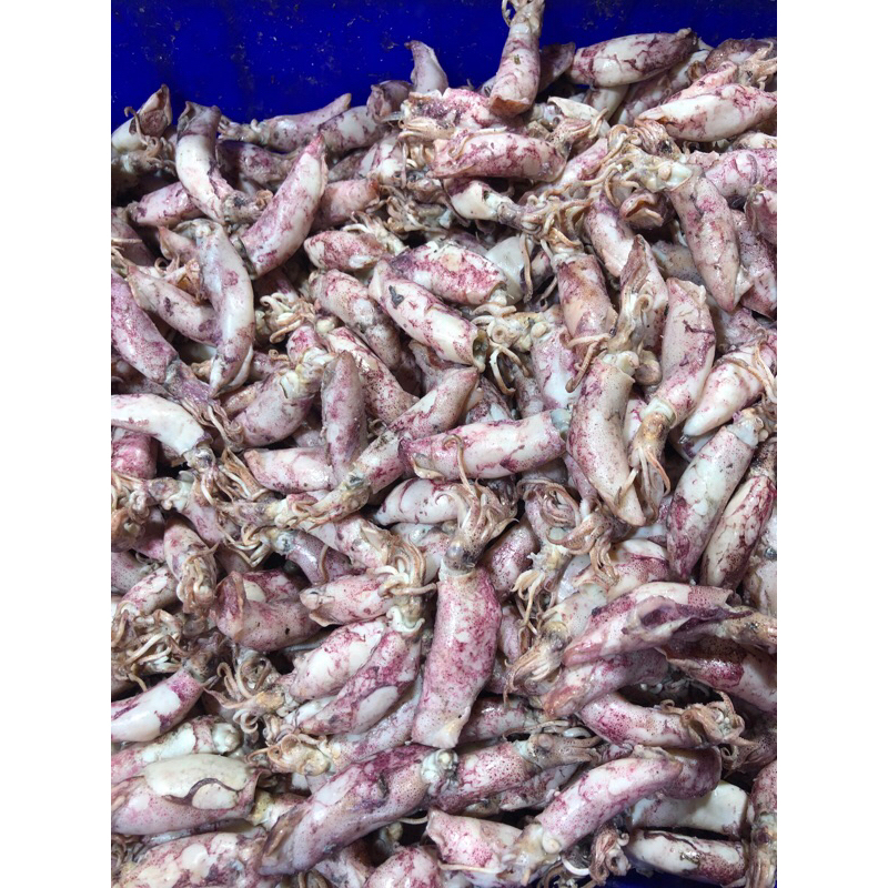 

ASIN CUMI BANDUNG 250 GRAM FRESH