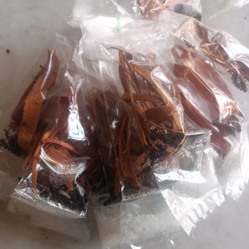 1 Renteng Sampayang Minuman Herba Minang