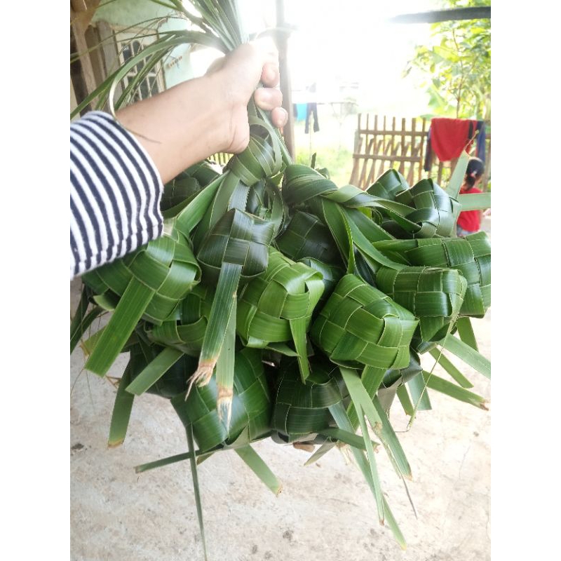 

Ketupat kosong dari janur berkualitas bagus home made