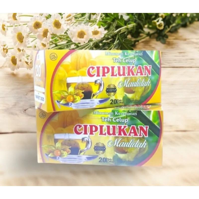 Teh celup daun ciplukan/teh herbal daun ciplukan maulidah 20 kantong