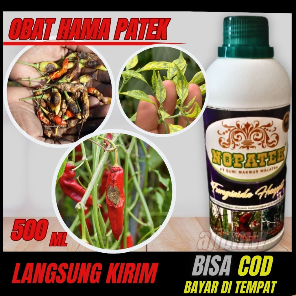 OBAT HAMA PATEK CABE ALAMI > OBAT PATEK CABE AMPUH > OBAT PATEK CABE ORGANIK - NOPATEK ASLI