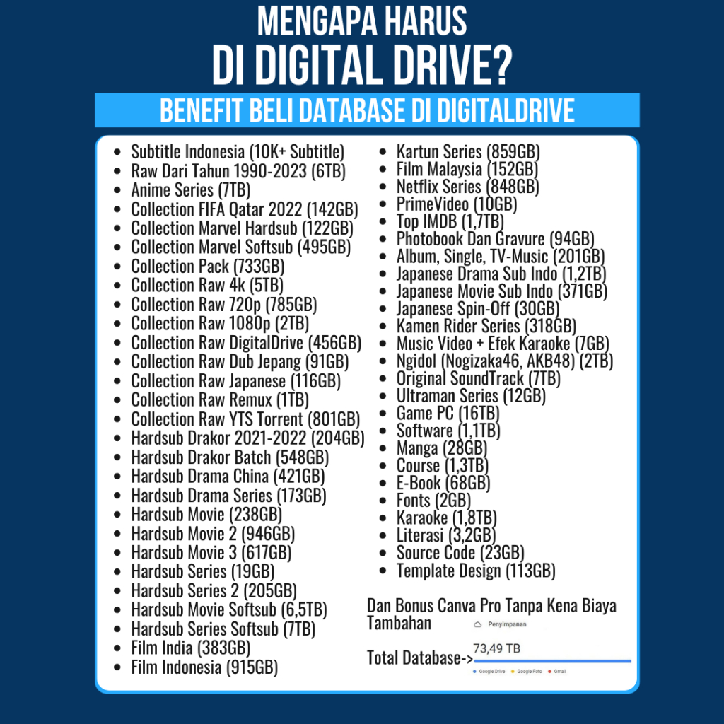 Database Google Drive (Shared Drive) 100TB