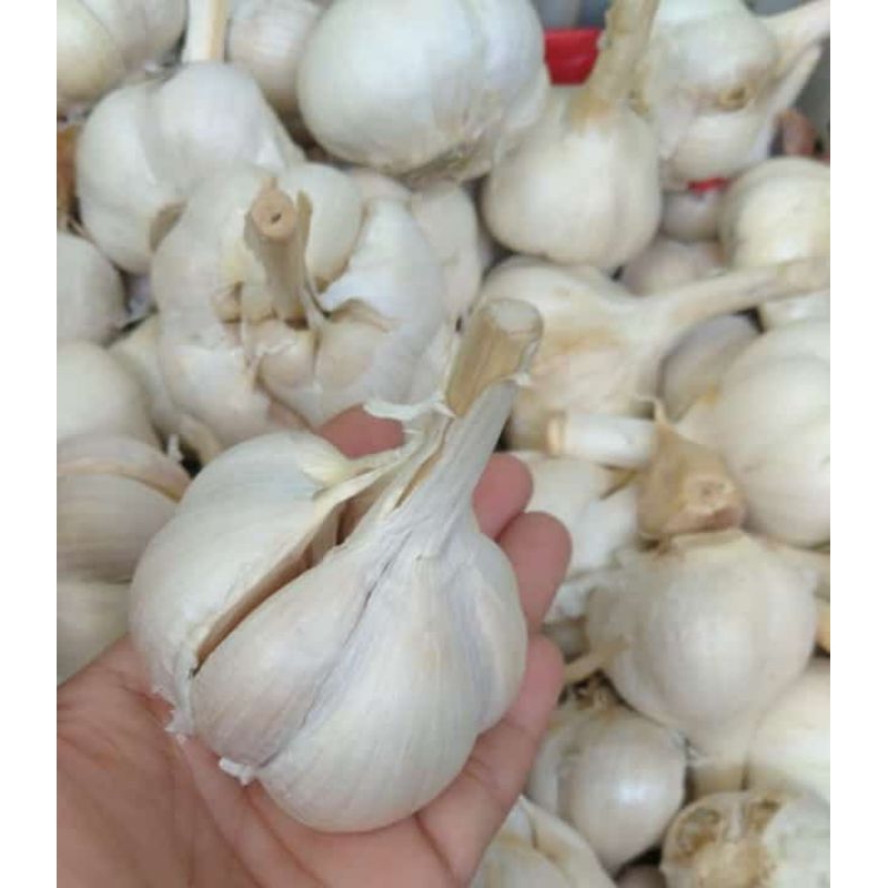 

Bawang putih kemasan 500 gram