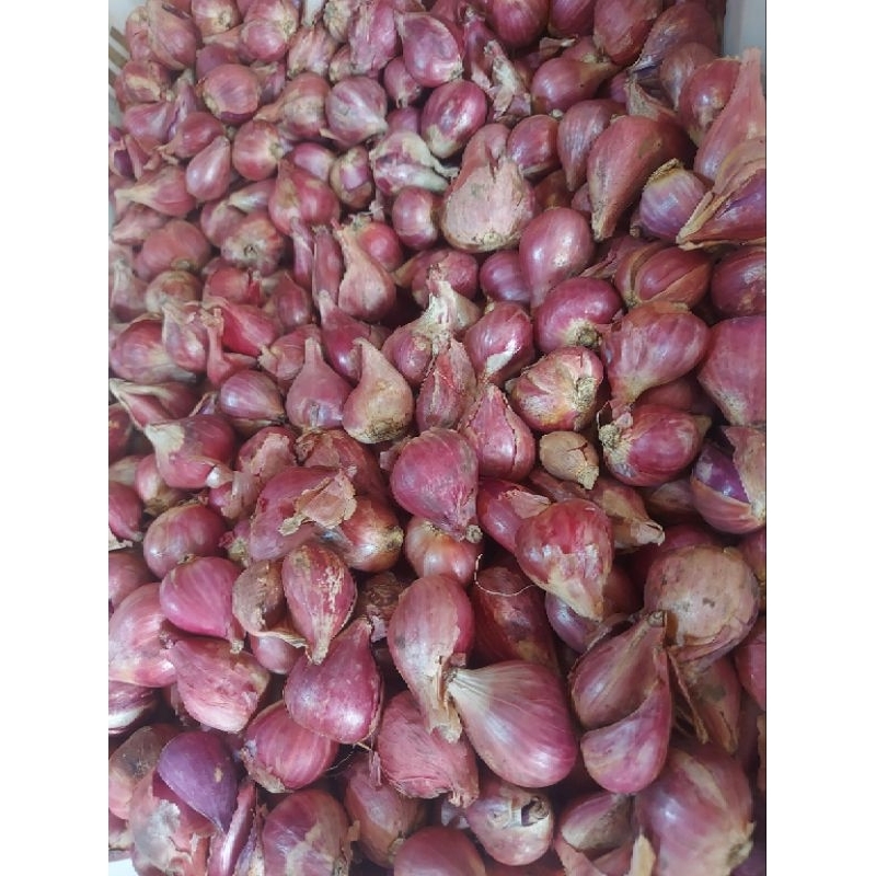 

BAWANG MERAH BREBES 1KG