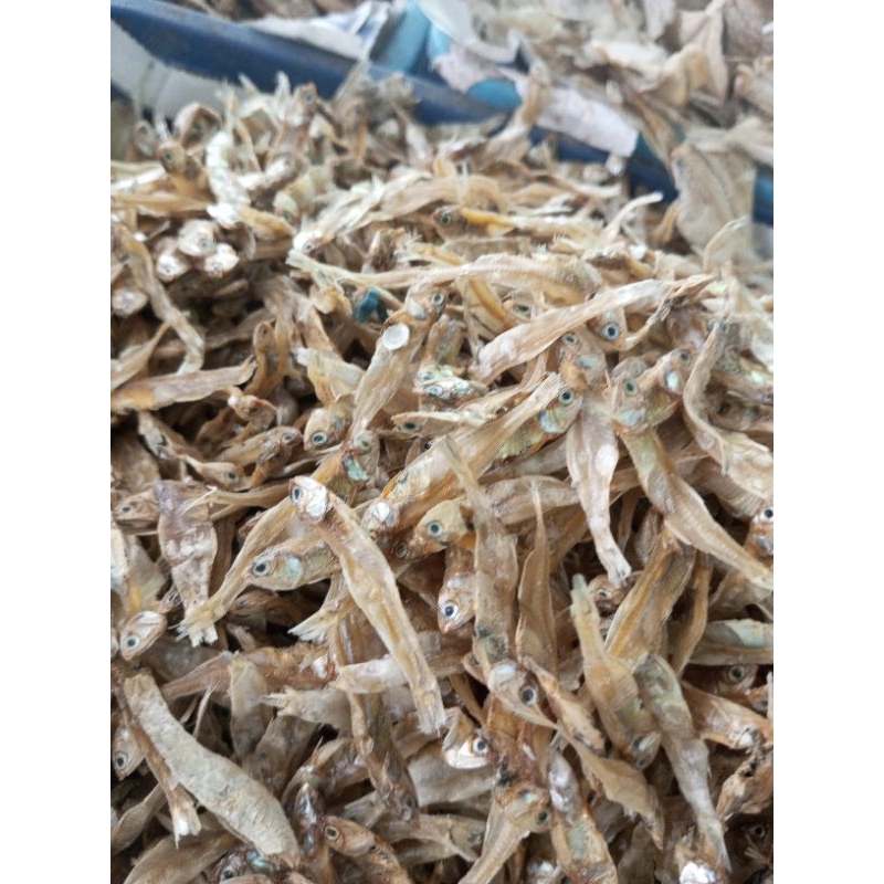 

Teri Bunga Tawar