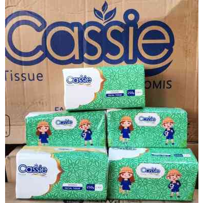 TISSUE CASSIE CASSIE FACIAL 2PLY 250GR