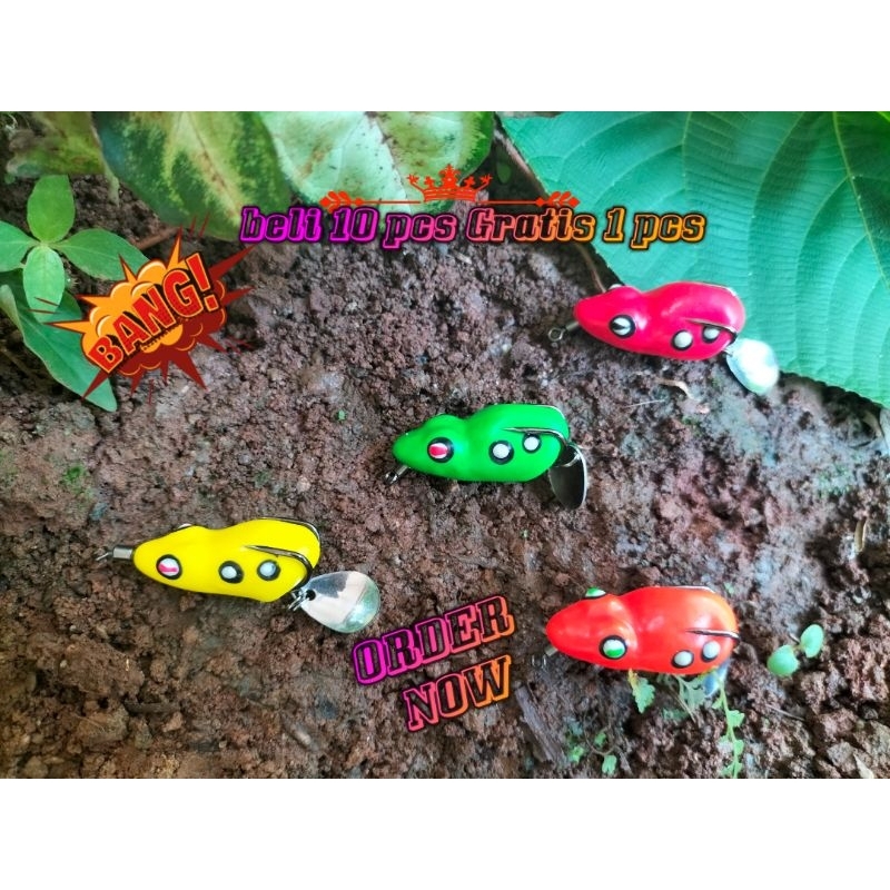 soft frog curut killer