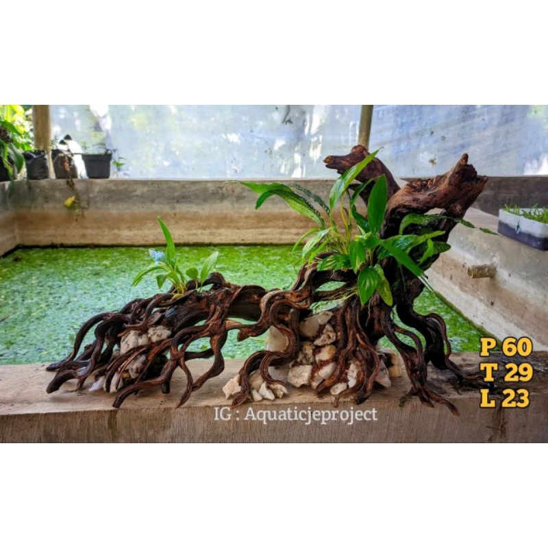 HARDSCAPE AQUASCAPE NATURAL JUMBO MURAH