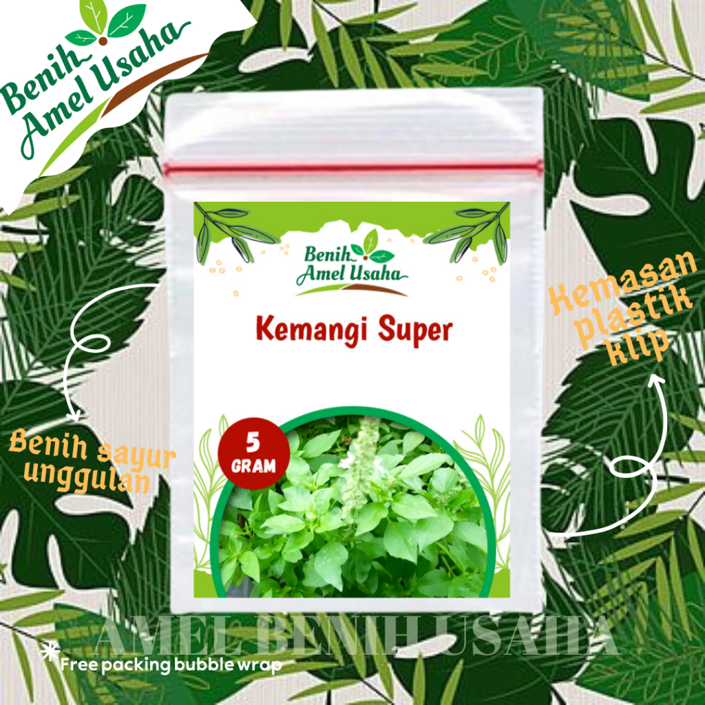 bibit benih kemangi super isi 5 gram / benih lalapan kemangi / bibit kemangi unggul