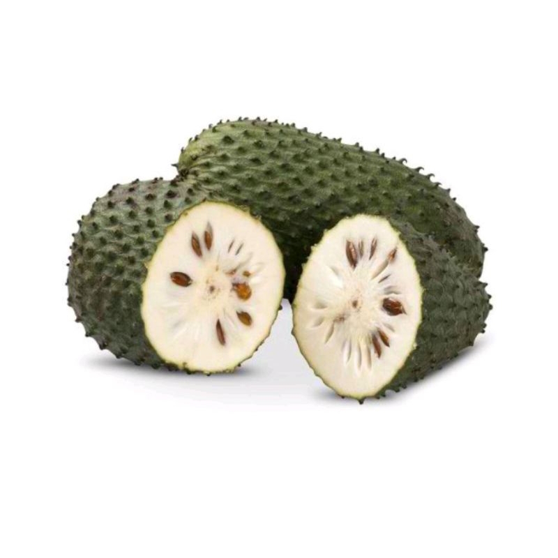

buah sirsak fresh 1buah