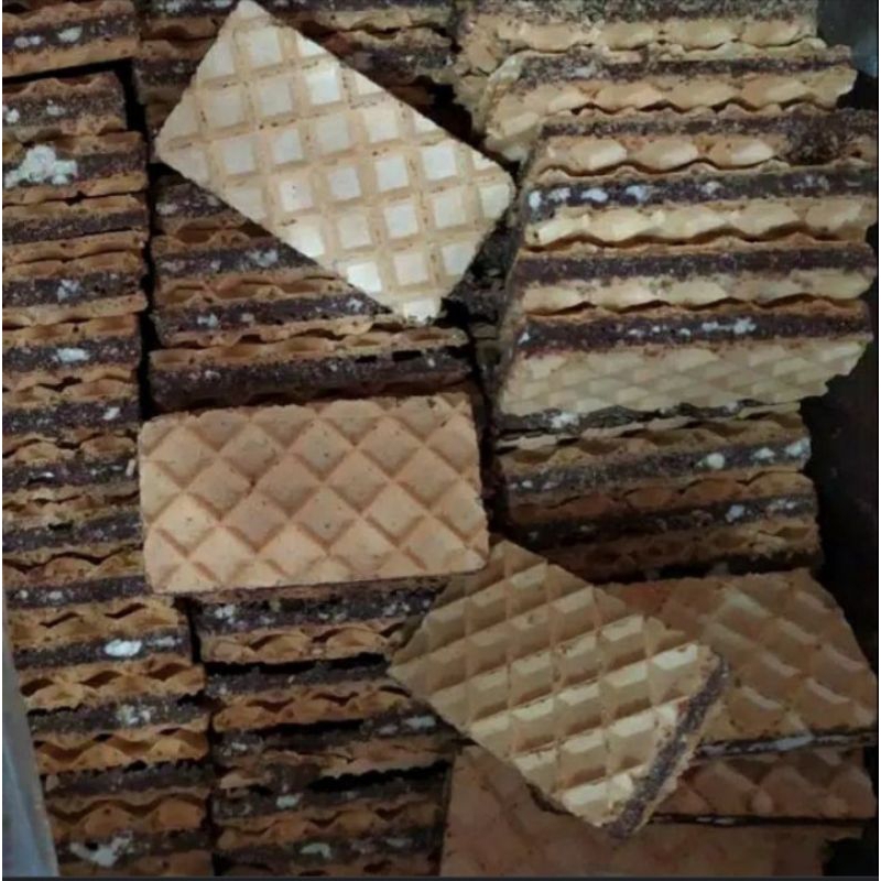 

wafer nissin