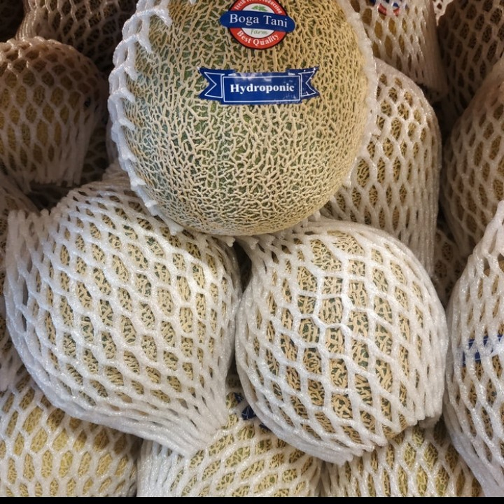 

Melon Bogatani Super Sweet Lembut Juicy -+ 1,7kg / Pcs