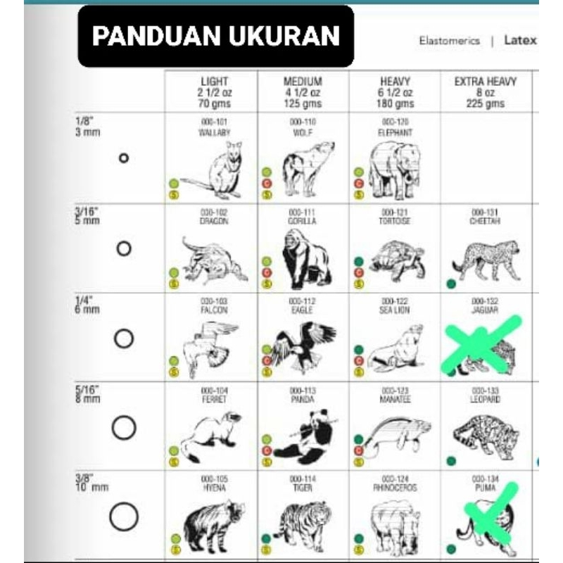 Karet Elastik Ortho / Elastic Band - AO ORIGINAL - Per Pack