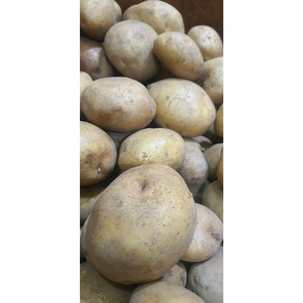 

KENTANG PREMIUM