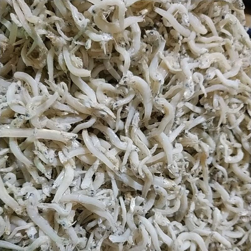 

Teri Tauge / Teri toge Grade A 250 gram