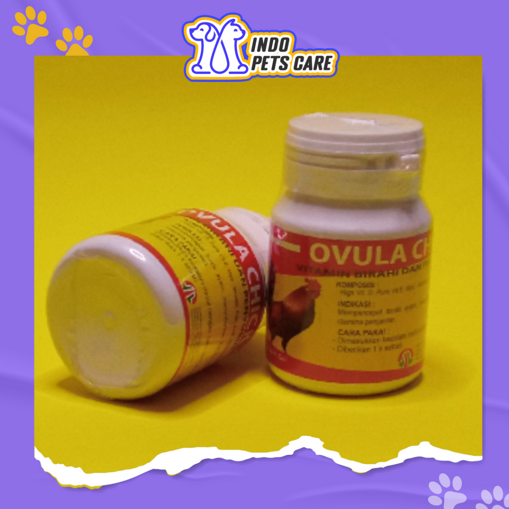 OVULA CHICK SOFTGEL- SUPLEMEN AYAM PENINGKAT BIRAHI & PENYUBUR KANDUNGAN, VITAMIN STAMINA PEJANTAN