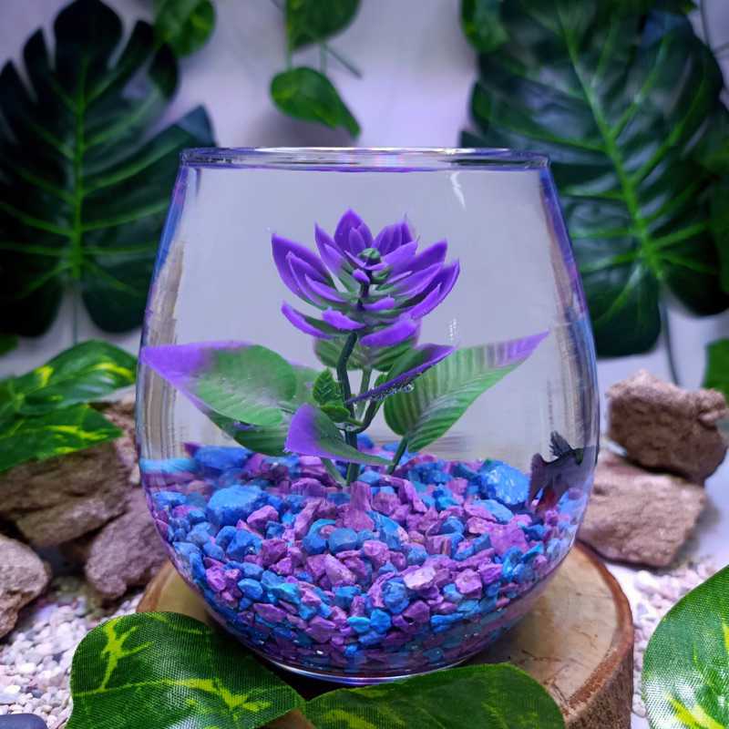 Aquarium Mini Dengan Batu Ungu & Bunga Ungu