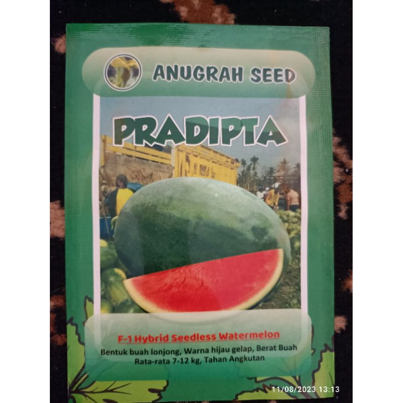 pradipta