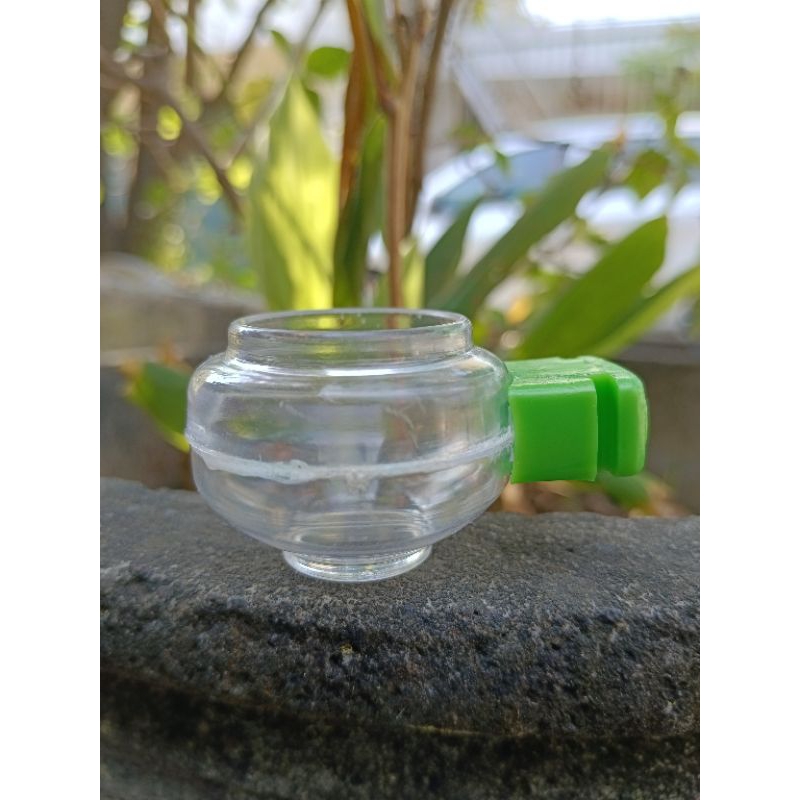 CEPUK MINUM CEPUK PAKAN UNTUK BURUNG PLECI SOGON DAN KOLIBRI