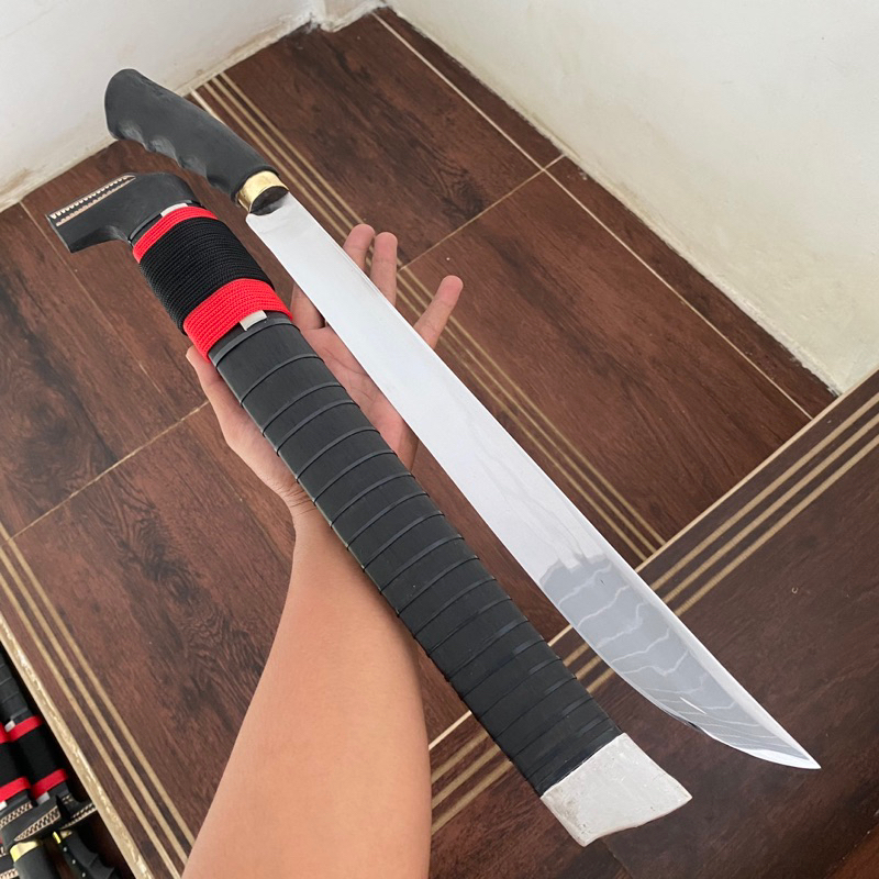 GOLSEM KHAS BANTEN 40 CM