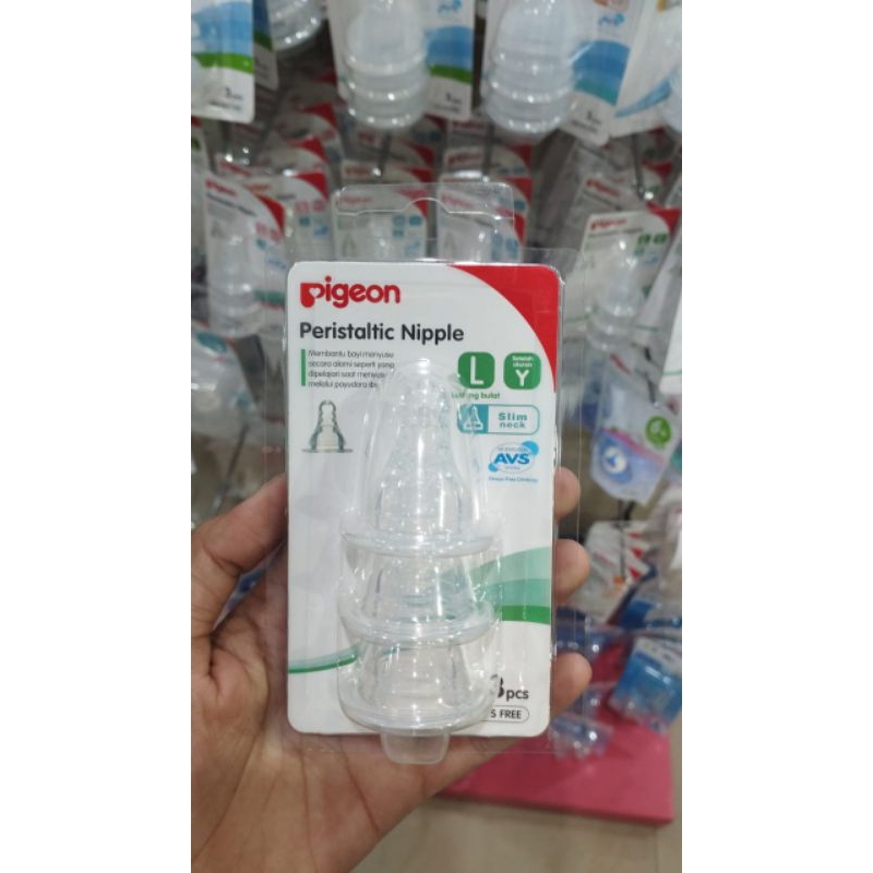 Pigeon perislatic isi 3