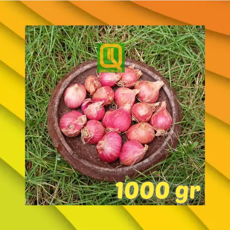 

1 KG. Bawang Super Probolinggo, Bawang Besar, Brambang gede, Brambang Garing